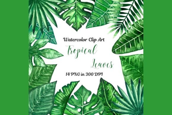Download Jungle Clipart Palm Leaves Banana Leaves - Premium Bundle